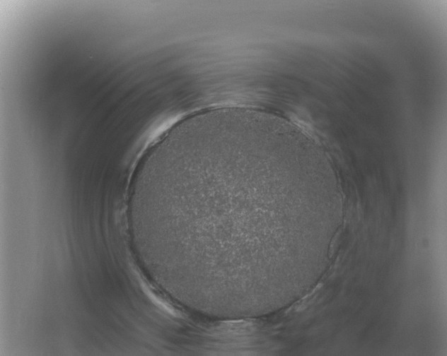 X0000067500050200604150118