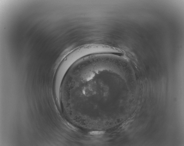 X0000067500051200604150118