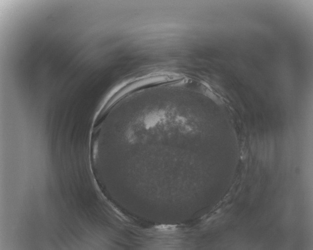 X0000067500052200604150118