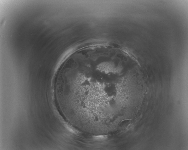 X0000067500053200604150118