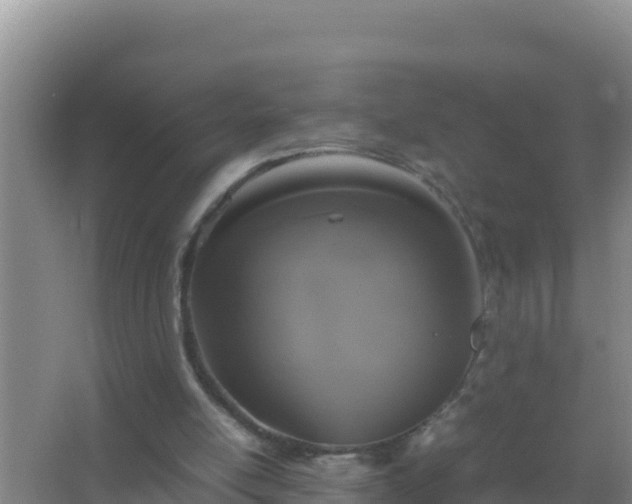 X0000067500054200604150118