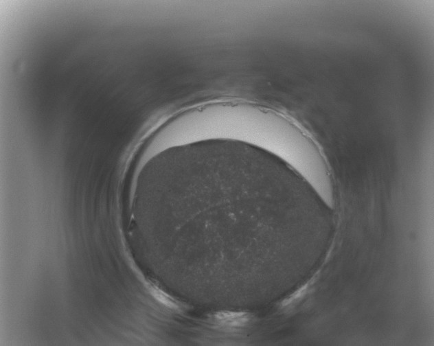 X0000067500055200604150118