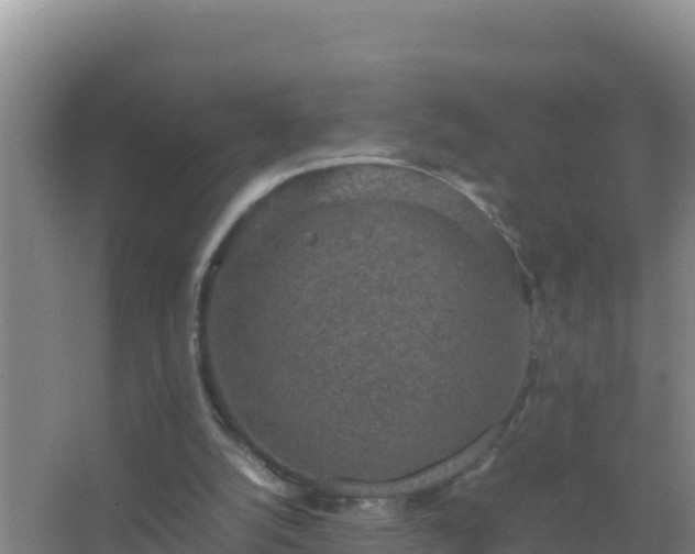 X0000067500056200604150118