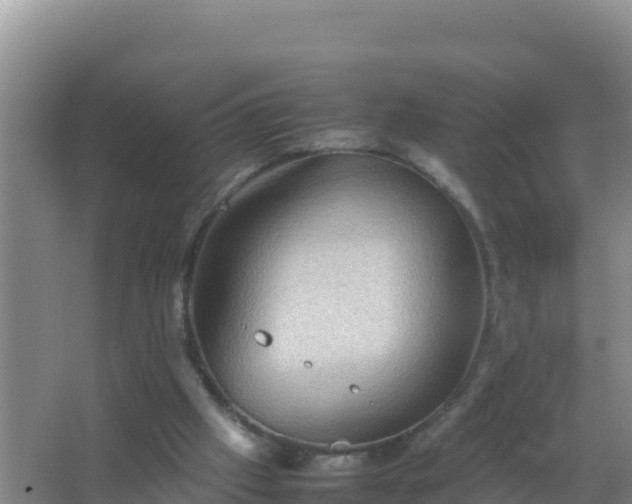 X0000067500057200604150118