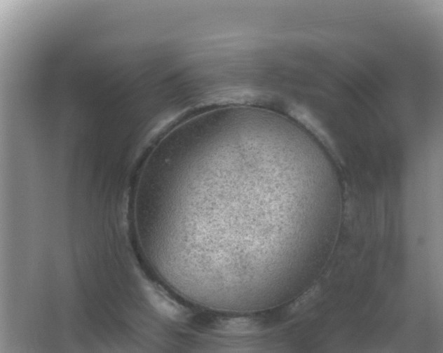 X0000067500058200604150118