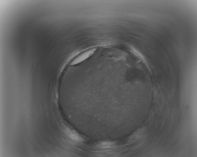 X0000067500059200604150118