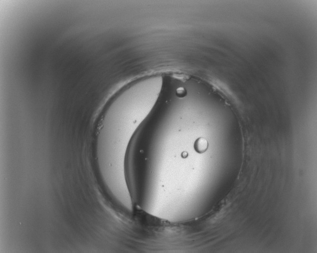 X0000067500060200604150118