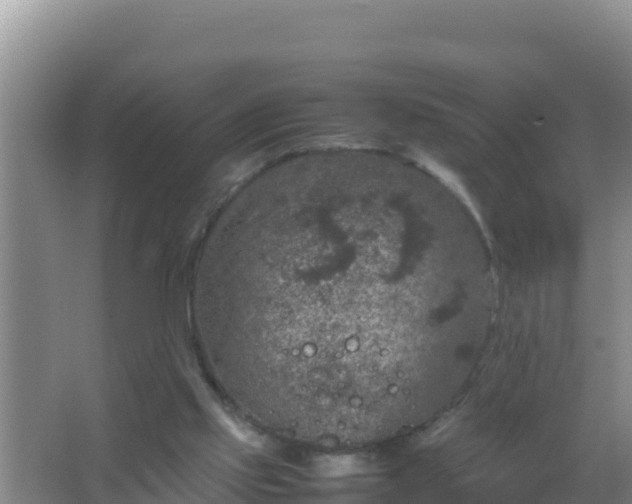 X0000067500061200604150118