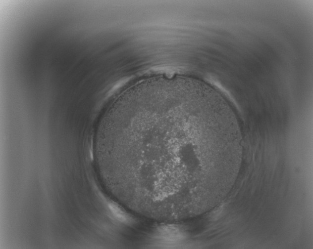 X0000067500062200604150118