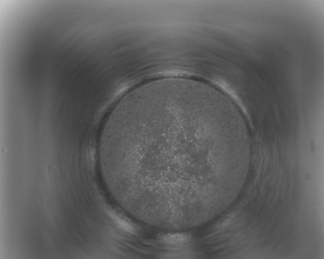 X0000067500063200604150118