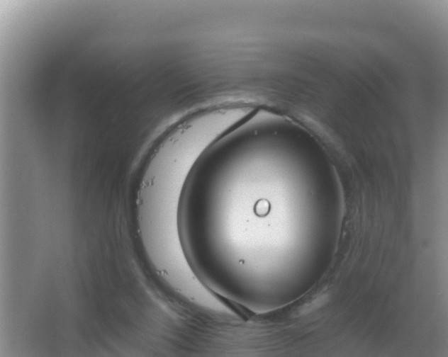 X0000067500064200604150118