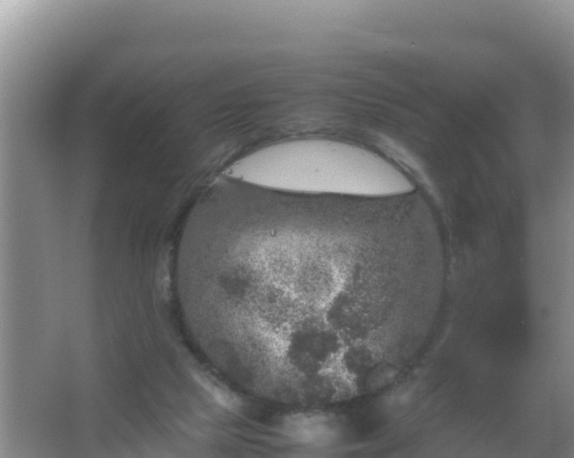 X0000067500065200604150118