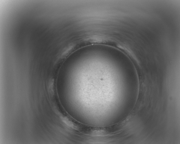 X0000067500066200604150118