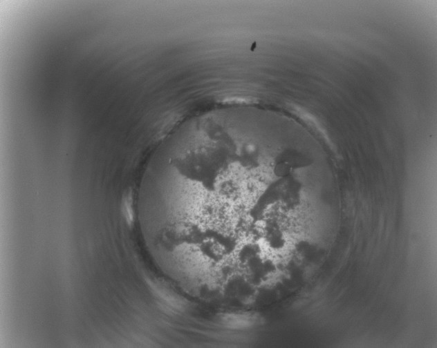 X0000067500069200604150118