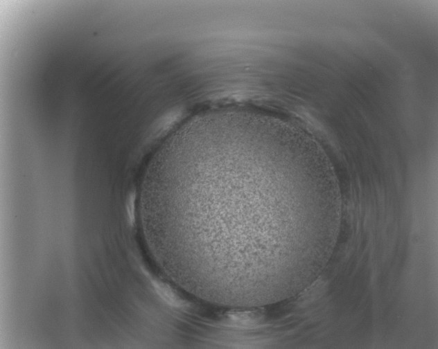 X0000067500070200604150118