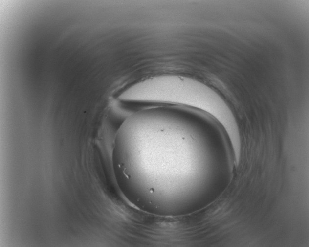 X0000067500071200604150118