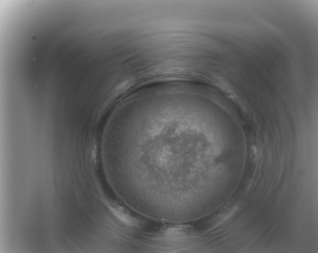 X0000067500072200604150118