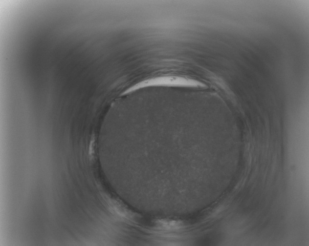 X0000067500073200604150118