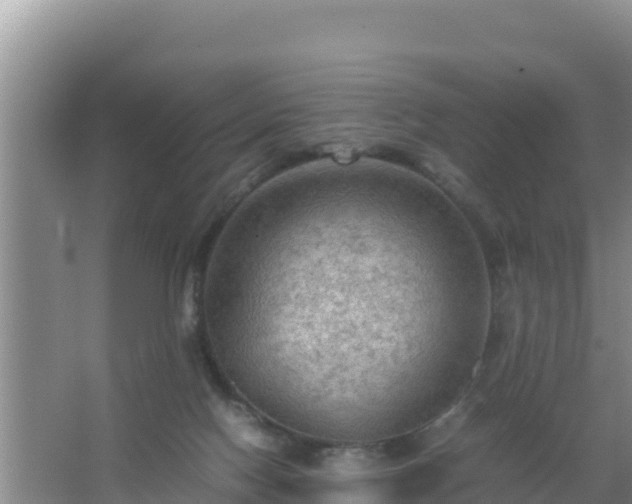 X0000067500074200604150118