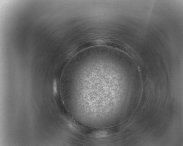 X0000067500075200604150118