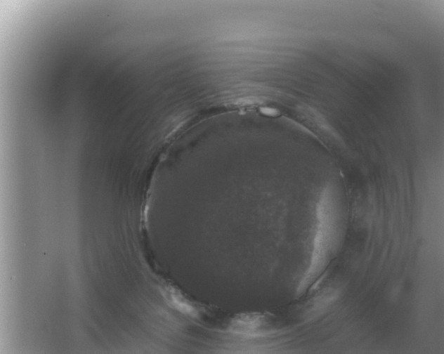 X0000067500076200604150118