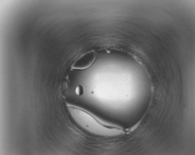 X0000067500077200604150118