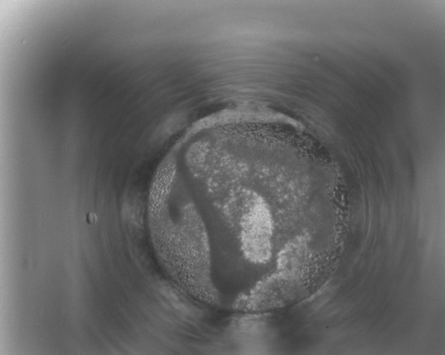 X0000067500078200604150118