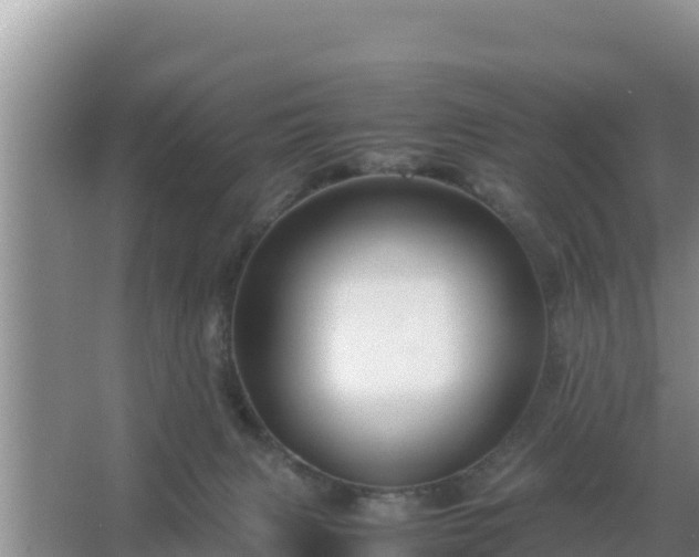 X0000067500079200604150118