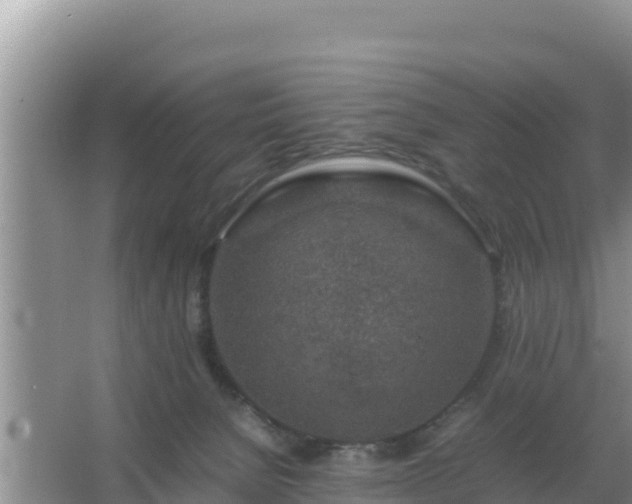 X0000067500080200604150118