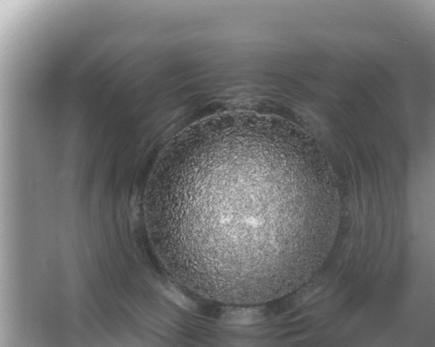 X0000067500081200604150118