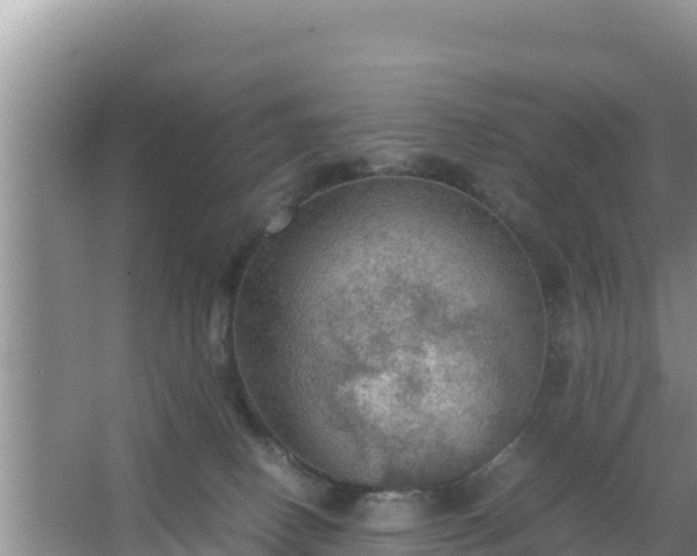 X0000067500082200604150118