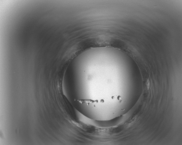 X0000067500084200604150118