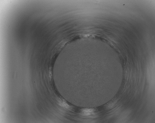 X0000067500085200604150118