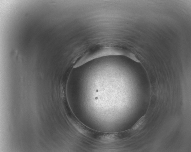 X0000067500086200604150118