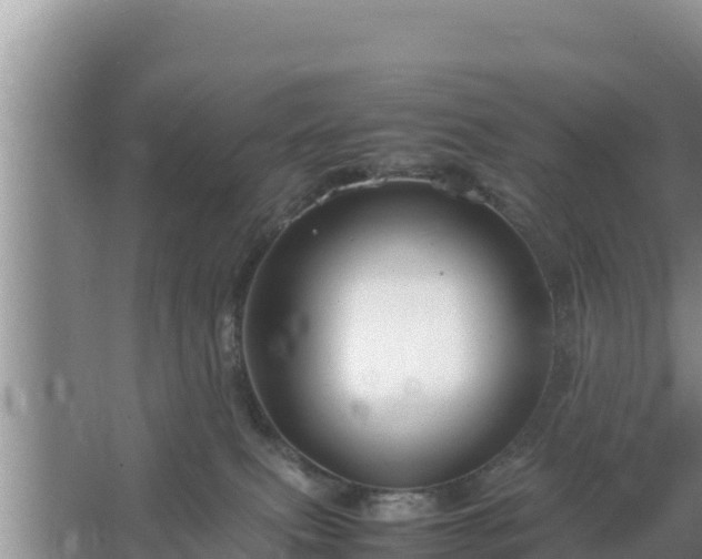 X0000067500087200604150119