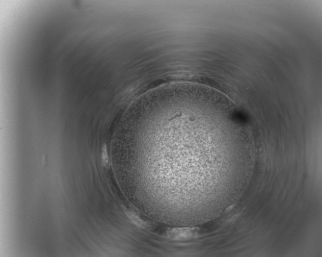 X0000067500089200604150119