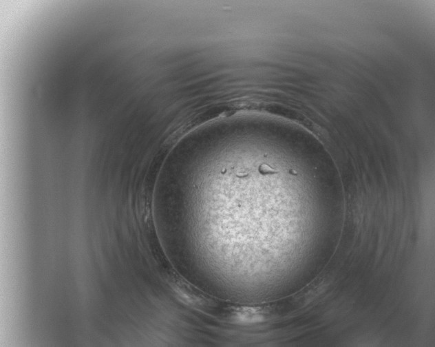 X0000067500091200604150119