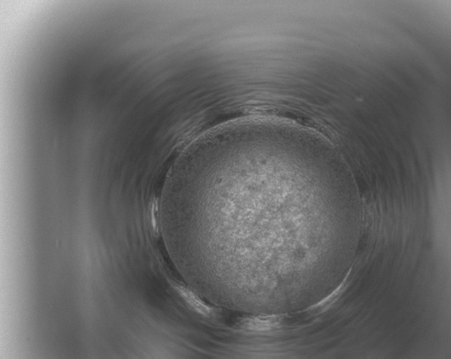 X0000067500094200604150119