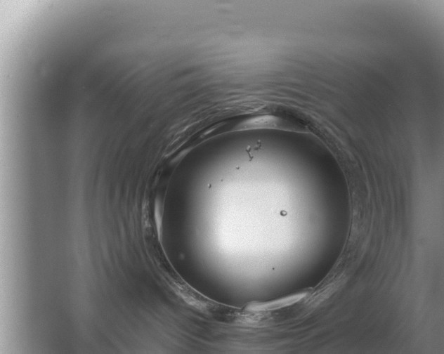 X0000067500096200604150119