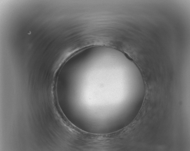 X0000067500098200604150118