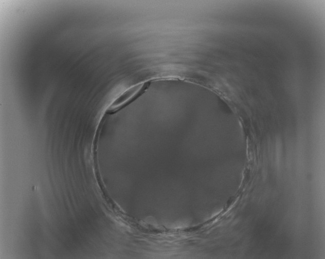 X0000067500099200604150118