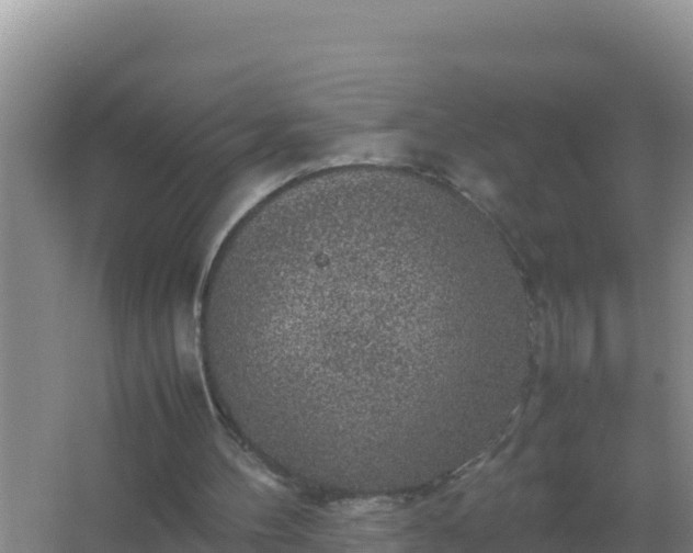 X0000067500100200604150118