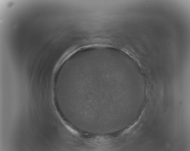 X0000067500101200604150118