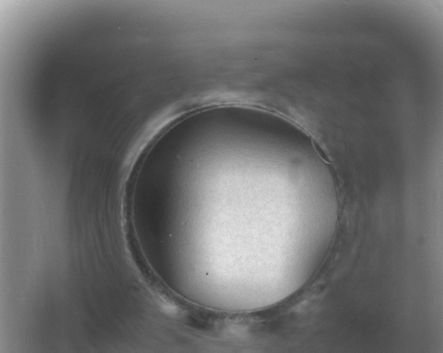 X0000067500103200604150118