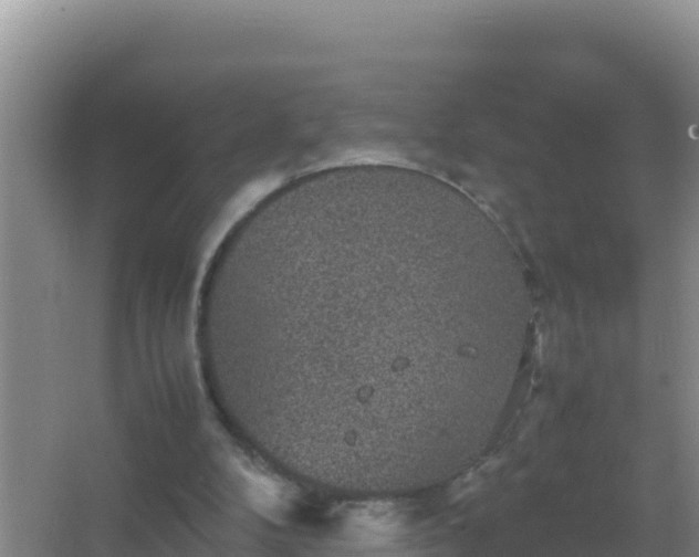 X0000067500104200604150118