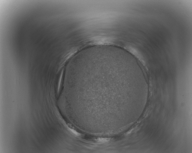 X0000067500105200604150118