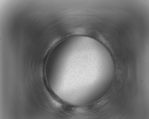 X0000067500106200604150118