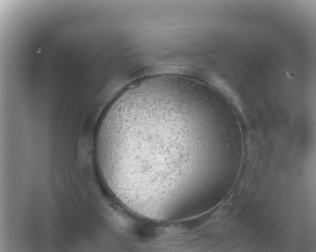 X0000067500107200604150118