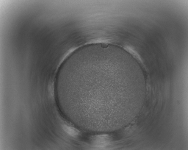 X0000067500108200604150118