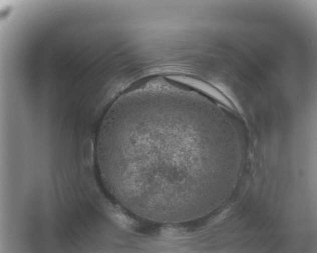 X0000067500109200604150118